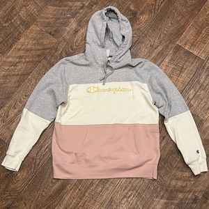 ADORABLE Champion sweatshirt